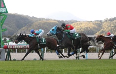 なんと１着同着！　フェアエールングとシンティレーションがともに重賞初勝利！／小倉牝馬Ｓ - 競馬写真ニュース : 日刊スポーツ