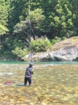 和歌山・古座川　20センチ超マッチョなアユ、どとうの入れ掛かり - 釣り : 日刊スポーツ