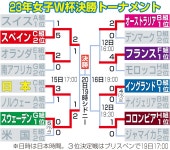 【女子Ｗ杯】なでしこ４強ならず「本田もびっくり」ロスタイム10分にＳＮＳ内で驚きの声続出 - 日本代表写真ニュース : 日刊スポーツ