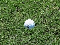 大宮ゴルフコース 後編 - ゴルフ体験主義 - ゴルフコラム写真ニュース : 日刊スポーツ