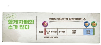 #09 인류의 번영과 기원 | 조사 리포트 | 피크민 가든～ 피크민이 있는 정원～ | Nintendo