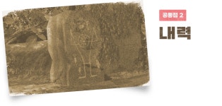 #09 인류의 번영과 기원 | 조사 리포트 | 피크민 가든～ 피크민이 있는 정원～ | Nintendo