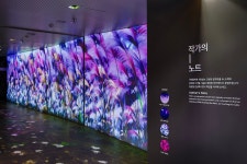 국립중앙도서관>도서관 소개>도서관 홍보>도서관 사진목록 국립중앙도서관