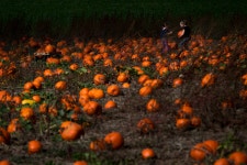 Places you can visit like Hawkins, Indiana in Stranger Things – NME Stranger Things road trip: visit these Hawkins, Indiana... 