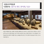 <박물관 속 바이올린> 국립나주박물관 밴드 LUCY | 행사/참여:국립중앙박물관 <박물관 속 바이올린> 국립나주박물관 밴드 LUCY | 행사/참여