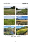 12. 담수식물자원 표본 확보 사업.pdf