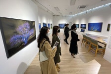 갤러리로 거듭난 백화점과 복합문화공간 - 노블레스닷컴 갤러리로 거듭난 백화점과 복합문화공간