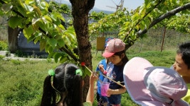 안나농원 | 농사로 안나농원