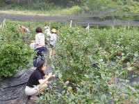 우천바리안 전통테마 마을 | 농사로 우천바리안 전통테마 마을