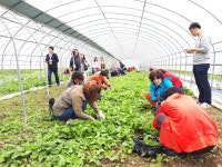 다래촌 농촌교육농장 | 농사로 다래촌 농촌교육농장