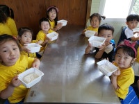 대파니힐링팜 | 농사로 대파니힐링팜