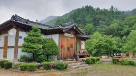 오음산 산야초밥상 | 농사로 오음산 산야초밥상