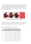 문서뷰어