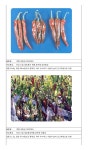 (주)메디젠피아 2호정 | 문서뷰어