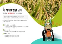 벼 이삭도열병 | 농사로 벼 이삭도열병