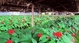 세계중요농업유산 모니터링과 평가 안내서 | 농사로 세계중요농업유산 모니터링과 평가 안내서