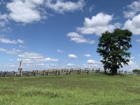 Antietam National Battlefield Seeks Input on Plan to Improve Park Landscape Management Strategies - Antietam National Battlefield... 