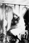 History and Hope: Hyde Park Historic District, Burkeville, VA: Creating Climate Hope through Community Aid (U.S. National Park... 