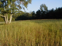 Inventory and Monitoring at Cowpens National Battlefield (U.S. National Park Service)