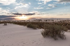 Vegetation Inventory and Map for White Sands National Park (U.S. National Park Service)