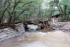 Gallery Item Display