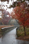 Photo (U.S. National Park Service)