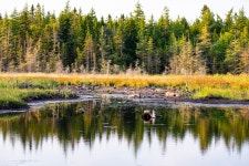 Photo (U.S. National Park Service)