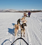 Multimedia Search (U.S. National Park Service)