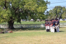 Gallery Item Display