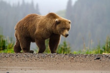 Photo (U.S. National Park Service)