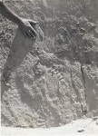 Photo (U.S. National Park Service)