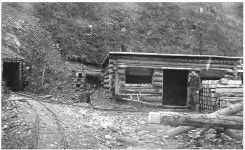 Gallery Item Display