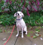 Gallery Item Display