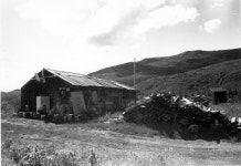 Gallery Item Display