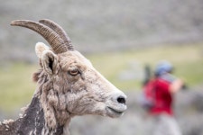 Photo (U.S. National Park Service)