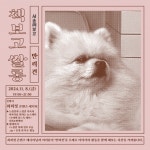 자유게시판 | 국립극단