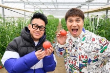 【満天☆青空レストラン】４月５日放送「男気トマト」＠埼玉県桶川市｜満天☆青空レストラン｜日本テレビ 【満天☆青空レストラン】... 