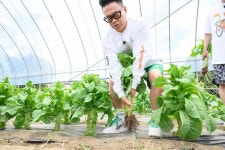 【満天☆青空レストラン】６月１０日放送「＃７０５　栃木県　中国野菜」｜満天☆青空レストラン｜日本テレビ 【満天☆青空レストラン】... 