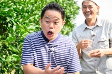 【満天☆青空レストラン】11月4日放送「#725　鹿児島県　辺塚だいだい」｜満天☆青空レストラン｜日本テレビ 【満天... 