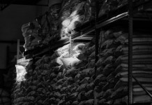 K2 in New York City – New York Daily News K2 in New York City