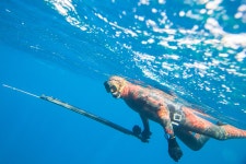 34-year-old man killed in shark attack while spear fishing off Australian coast, mayor says – New York Daily News 34-year-old... 