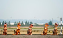 T-Rex World Championship Races 2023 – New York Daily News T-Rex World Championship Races 2023