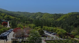 문화관광  - 문화관광