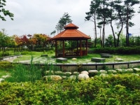 청주교차로 NZINE NZINE 청주교차로