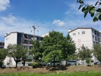 청주교차로 NZINE