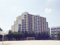 청주교차로 NZINE