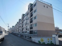 일심아파트, 충청북도 청주시 흥덕구 운천동 일심아파트 : 청주교차로 NZINE 부동산 일심아파트