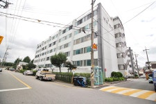 청주교차로 NZINE NZINE 청주교차로