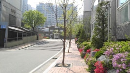 산남퀸덤, 충청북도 청주시 서원구 산남동 산남퀸덤 : 청주교차로 NZINE 부동산 산남퀸덤