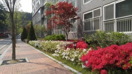 산남퀸덤, 충청북도 청주시 서원구 산남동 산남퀸덤 : 청주교차로 NZINE 부동산 산남퀸덤